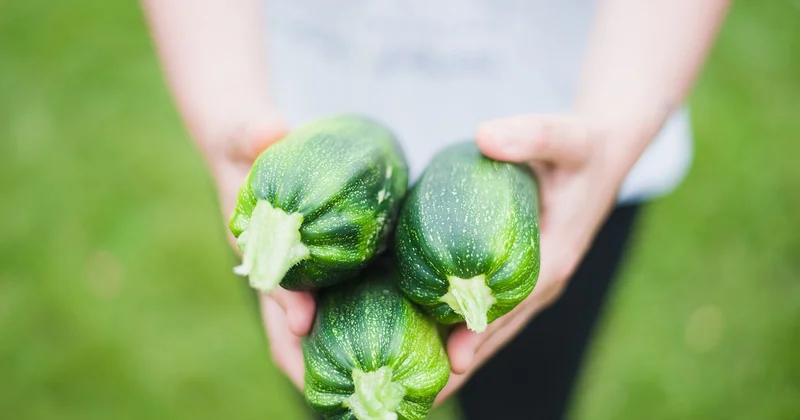 Dips et légumes : l'astuce anti-gaspi que vous n'utilisez pas assez