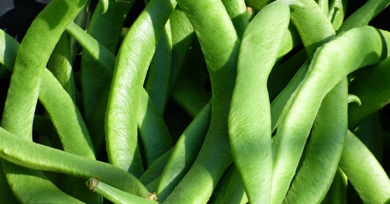 15 recettes végétariennes à base de légumineuses qui vont vous régaler