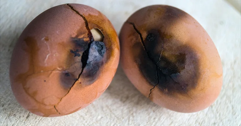 Deux erreurs que j'ai faites (et que vous pouvez éviter)
