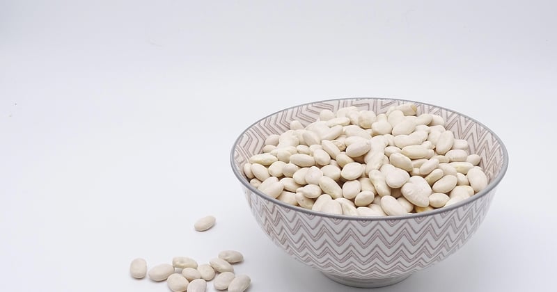 15 recettes végétariennes riches en protéines qui rassasient vraiment